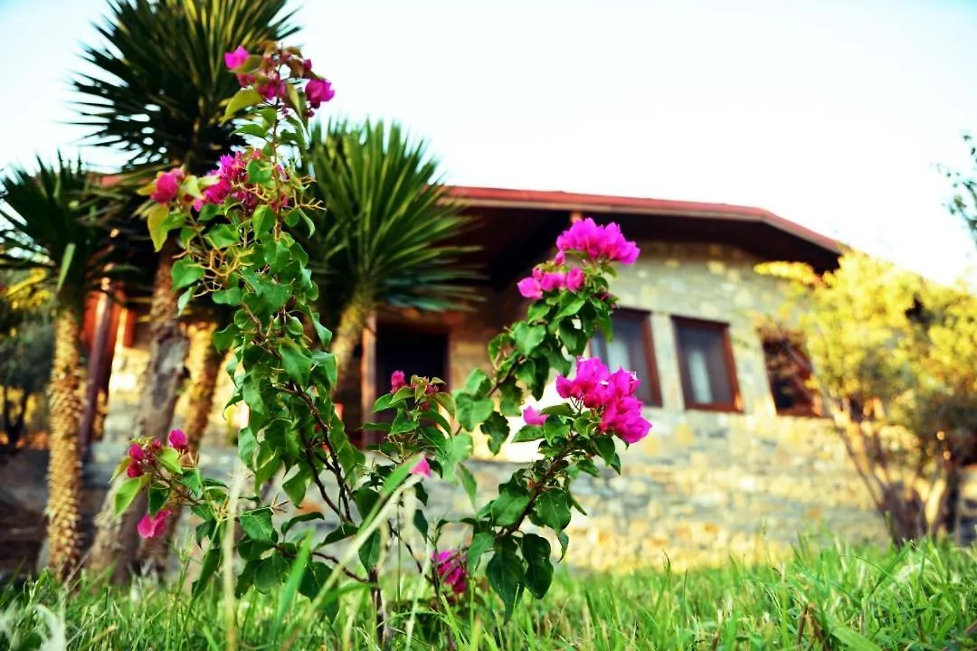 Pir Efes Konaklari Izmir Hotel